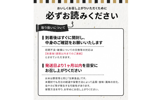 1103T11　【定期便】庄内産ミルキークイーン5kg×6ヶ月連続（11月～4月）