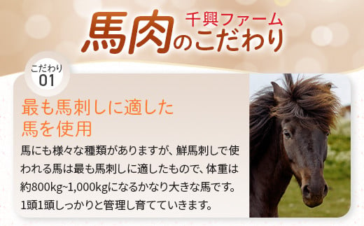 【馬刺し】鮮馬刺し 赤身ユッケ 10個 セット 約500g 馬肉 50g×10  馬刺し 熊本 ユッケ お手軽 冷凍 小分け 赤身 国産 031-0496-0