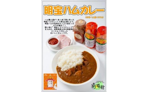 覇楼館・岐阜県ご当地カレー食べくらべセット