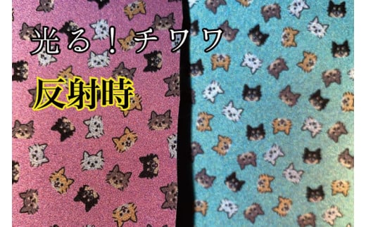 40-18 【小型犬用5キロまで】光るリード チワワ（ピンク）【散歩 愛犬 夜散歩 手作り 阿見町 茨城県】