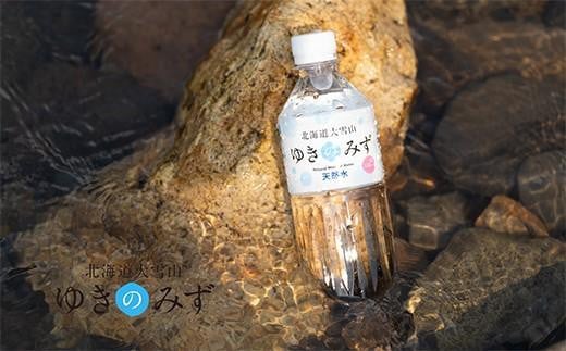 北海道大雪山ゆきのみず（550ml×24本入り）　1箱