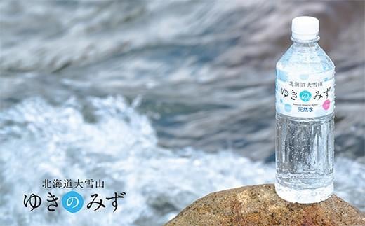 北海道大雪山ゆきのみず（550ml×24本入り）　1箱