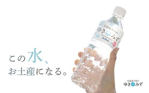 北海道大雪山ゆきのみず（550ml×24本入り）　1箱