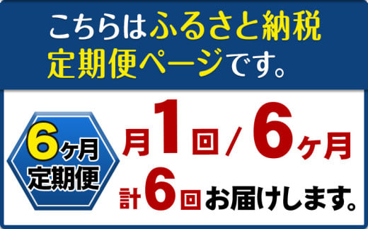 【6ヶ月定期便】ナノバブル水素水 ペットボトル(約500ml)×24本 株式会社ヒロシバ《30日以内に出荷予定(土日祝除く)》大阪府 羽曳野市 送料無料 水素水 肌 美容 健康 水