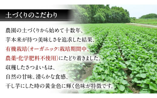 【先行予約】 茨城県産 紅はるか 干し芋 平干し 5kg ( 250g × 20袋 ） 干しいも ほし芋 甘い おいしい 美味しい しっとり 紅はるか べにはるか いも イモ スイーツ 和スイーツ お菓子 おやつ おつまみ お取り寄せ 国産 茨城 特産品