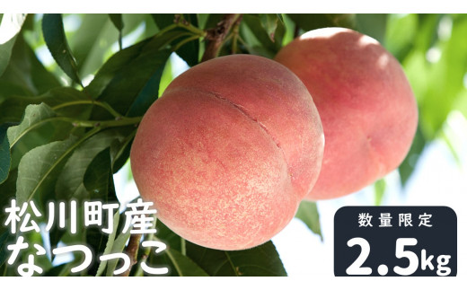 松川町産なつっこ贈答用　約2.5kg（6～10玉）