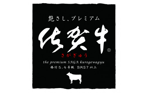 佐賀牛焼肉セット 800g 【牛肉 牛 焼肉 ステーキ ロース BBQ キャンプ 精肉】(H066113)