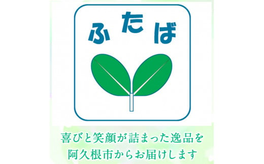 さをり織り外ポケットバッグ＆ティッシュケース(計2つ)国産 トートバッグ 小物入れ 工芸品 手提げ【デイハウスふたば脇本】a-12-63-z