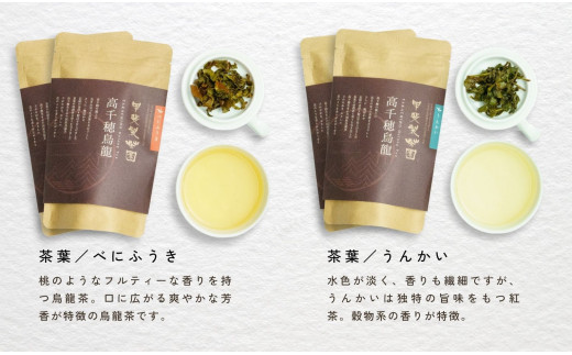 【高千穂生まれの国産烏龍茶】フルーティーで爽やかな香り！【リーフティー】