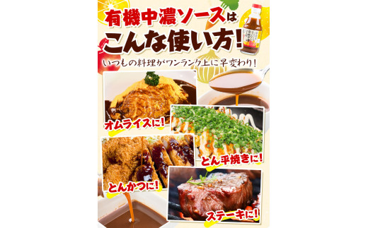 ソース 中濃ソース 職人の夢 200ml × 6本 光食品 株式会社《30日以内に出荷予定(土日祝除く)》無添加 調味料 砂糖不使用 とんかつ オムライス 徳島県 上板町 有機野菜・果実90％使用