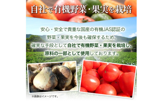 ソース 中濃ソース 職人の夢 200ml × 6本 光食品 株式会社《30日以内に出荷予定(土日祝除く)》無添加 調味料 砂糖不使用 とんかつ オムライス 徳島県 上板町 有機野菜・果実90％使用