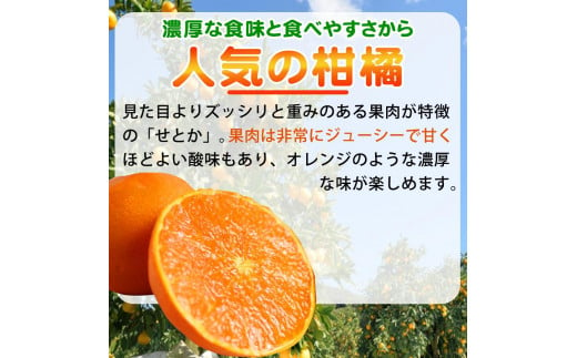 紀州有田産せとか 約3kg 【ご家庭用】とろける食感！ジューシー柑橘【2025年2月下旬以降発送】【先行予約】【UT133】