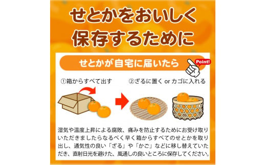 紀州有田産せとか 約3kg 【ご家庭用】とろける食感！ジューシー柑橘【2025年2月下旬以降発送】【先行予約】【UT133】