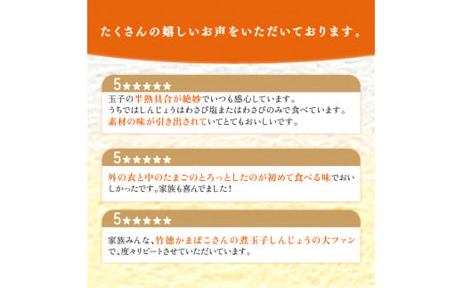 煮玉子しんじょう 8個詰合せ しんじょう おつまみ つまみ 練り物 8個 詰め合わせ セット 煮卵 卵 たまご 玉子 新潟