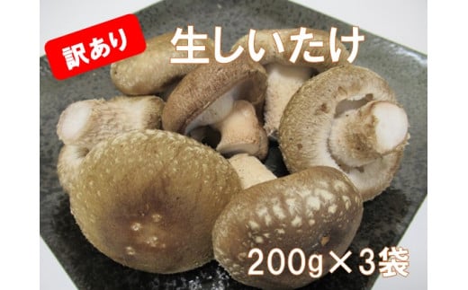 [№5852-0456]「訳あり」生しいたけ　200g×3袋(サイズ混合)　※離島不可