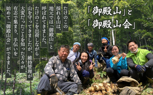 【令和7年産先行予約】庄内の春の味覚　やわらかい朝堀り湯田川孟宗（たけのこ）約3～3.5kg　にこにこふぁーむ　K-660