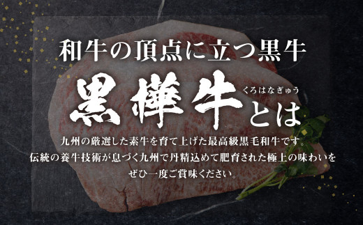 くまもと黒毛和牛 杉本本店 黒樺牛 A4~A5等級 ロースステーキ 200g×3 計600g