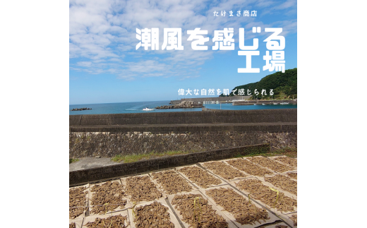 伝統の宗田節納屋　見学＆体験券（1グループ4名）観光 チケット 鰹節工場見学 夏休み 自由研究【R00642】