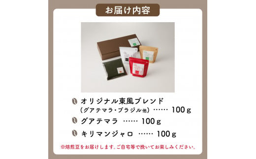 自家焙煎 コーヒー豆 焙煎珈琲 東風 オリジナルブレンド 100g×3袋 セット