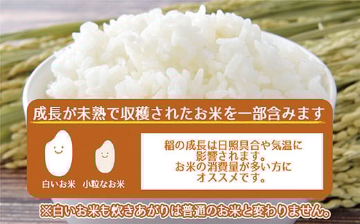 新米 令和7年産 ＼総合1位／ 訳あり ふくきらり 米 合計20kg