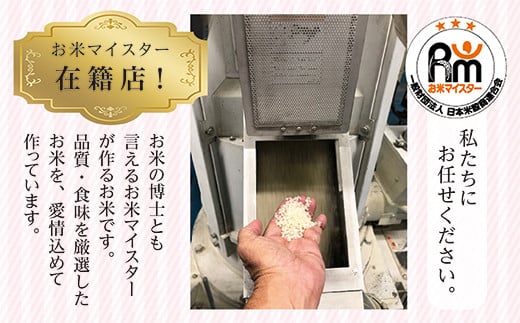 【さがみのり】20kg　(5kg × 4袋) ① ふるさと納税】20kg さがみのり (5kg×4袋) 上峰町 【最短2～3