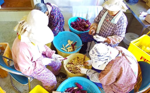 無添加 芋もち 2種セット（プレーン味＆紫芋味）計12枚 先行予約 餅 芋餅 スイーツ 和菓子 おやつ デザート お菓子 かんば餅 干し芋 いももち さつまいも おいしい 美味しい プレーン 紫芋【R00204】