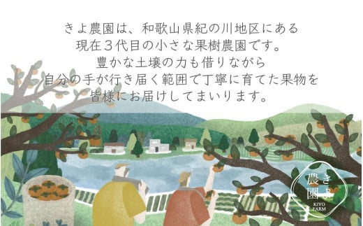 柿(種無し) 6個入 (約2kg)  秀品大玉【2025年9月下旬頃より発送】【KT1】