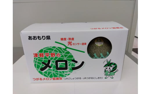 タカミ メロン 8kg (5～6玉) 2024年産｜令和6年 青森 つがる 特産 めろん 果物 フルーツ 期間限定 [0659]