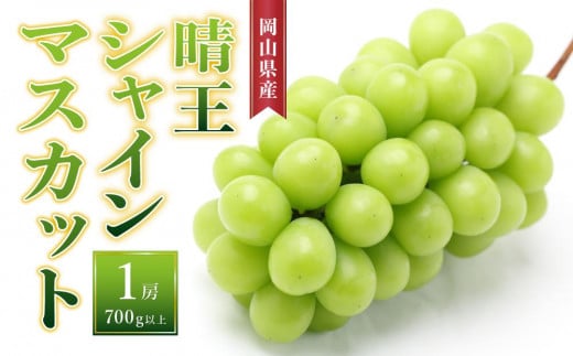 ぶどう［2025年先行予約］晴王 シャインマスカット 1房（700g以上）岡山県産