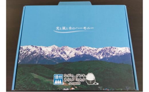 志賀高原の麓で育った きのこセット 【 きのこ 詰め合わせ セット えのき ぶなしめじ しいたけ 長野県 長野 】