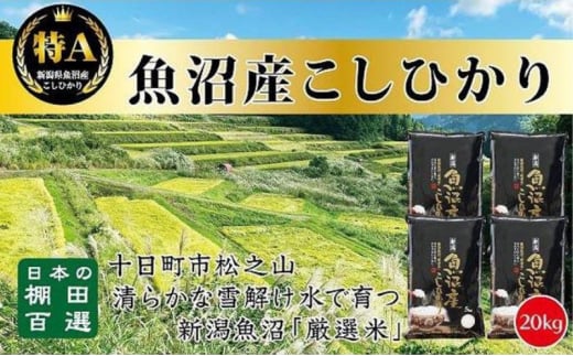 【令和6年産新米予約】日本棚田百選のお米　天空の里 魚沼産 こしひかり 20kg(5kg×4)