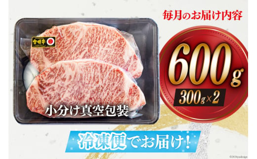 6回 定期便 宮崎牛 特上 ロース ステーキ 300g×2枚×6回 合計3.6kg 真空包装 [アグリ産業匠泰 宮崎県 美郷町 31be0033] 小分け A4等級以上 牛肉 黒毛和牛 焼肉 BBQ バーベキュー キャンプ サシ 霜降り 贅沢 とろける 柔らかい やわらかい ジューシー 丼 毎月届く 予約 ギフト プレゼント