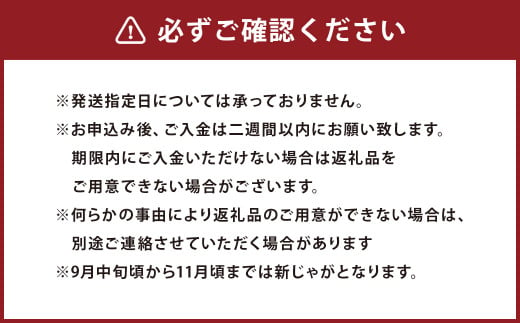 【厳選品】岩手にのへじゃがいも「伝」3～4種 品種おまかせ (サイズ混合) 5kg