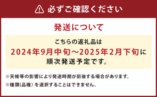 【厳選品】岩手にのへじゃがいも「伝」3～4種 品種おまかせ (サイズ混合) 5kg