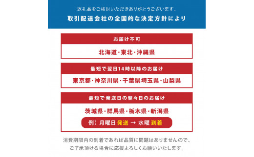 旬の朝獲れ鮮魚（煮つけ用）漁師おすすめセット【以布利定置網　漁師直送】朝獲れ 旬 煮付 煮魚 鮮魚 魚介 海鮮 魚 さかな せんぎょ 鮮魚セット 詰め合わせ おまかせ お任せ【S00820】