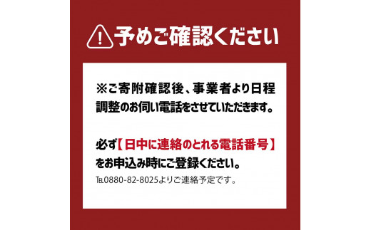 旬の朝獲れ鮮魚（煮つけ用）漁師おすすめセット【以布利定置網　漁師直送】朝獲れ 旬 煮付 煮魚 鮮魚 魚介 海鮮 魚 さかな せんぎょ 鮮魚セット 詰め合わせ おまかせ お任せ【S00820】