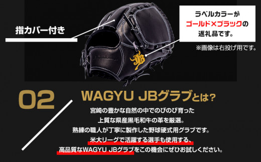 宮崎県産牛革使用 WAGYU JB 硬式用 グラブ 投手用 JB-001T(ブラック/左投げ用)_M147-013_01