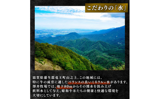  定期便 3回 近江牛 サイコロステーキ 500g × 3ヶ月 ステーキ  角切りステーキ ( 定期便 3ヶ月 牛肉 肉 国産 ブランド牛 日本三大和牛 和牛 黒毛和牛 竜王産 産地直送 澤井牧場 滋賀県 竜王町 送料無料 ギフト プレゼント 贈り物 冷凍 )