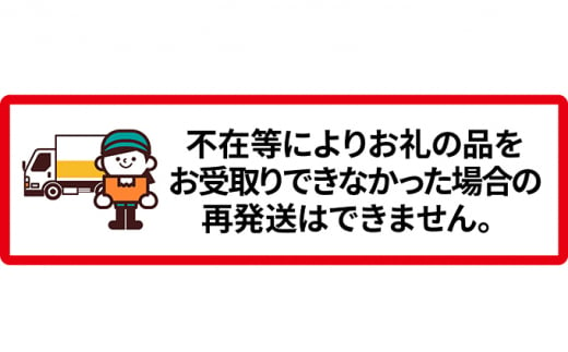 新しのつ産 赤肉メロン 2玉