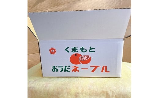 101-07　【訳あり】村田果樹園　減農薬で安心安全な完熟網田ネーブル　約５kg（大きさ：M～３L　約25玉）