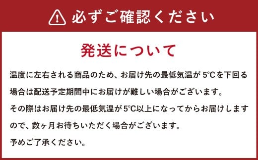 益城復興祈念 オーガスタ 7寸 高陶器 鉢40cm×20cm