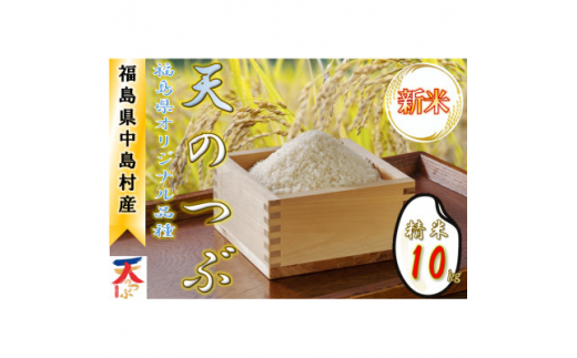 ＜令和6年産新米/先行予約＞中島村産『天のつぶ』(精米) 10kg【1542537】