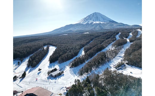 ふじてんスノーリゾート 1日リフト券引換券1枚 2024-2025シーズン NSL003