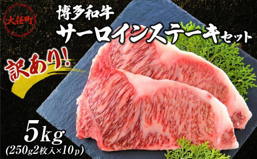 訳あり！博多和牛サーロインステーキセット　5kg（250ｇ2枚入り×10p）【ステーキ用 牛肉 希少 訳あり 国産 和牛 博多和牛 牛肉 肉 牛 サーロイン サーロインステーキ 福岡県 大任町 AN013】