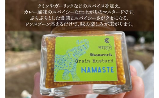 Shamrock粒マスタード（NAMASTEナマステ）6個【調味料 マスタード スパイス  粒マスタード 粒 ハム ウインナー ソーセージ 肉 魚 野菜】（FE-7）