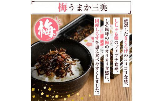 博多うまか三美つくだ煮セット(計760g)辛子高菜 明太高菜 佃煮 つくだ煮 きくらげ ご飯 おにぎり おつまみ 惣菜＜離島配送不可＞【ksg0534】【和生】