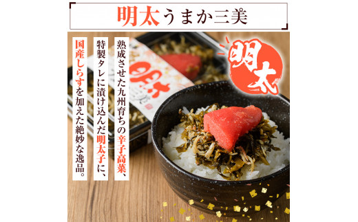 博多うまか三美つくだ煮セット(計760g)辛子高菜 明太高菜 佃煮 つくだ煮 きくらげ ご飯 おにぎり おつまみ 惣菜＜離島配送不可＞【ksg0534】【和生】