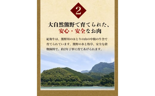 紀和牛サーロインステーキ2枚セット【冷蔵】 / 牛 牛肉 ステーキ サーロイン 紀和牛