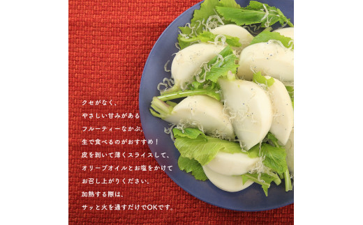 フルーツかぶ＆パプリカのたっぷりセット 24個(各12個)  ｜ 野菜 冬野菜 かぶ 蕪 セット 生野菜 生鮮野菜 冬野菜 サラダ スープ 加熱 特産品 山口 美祢 美祢市 パプリカ ミネコレ ミネコレクション