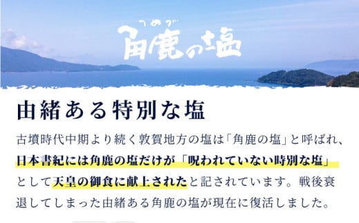 角鹿の塩  2点セット（粗塩）【敦賀 塩 しお 粗塩 天然塩 天日塩 釜炊き 調味料 ミネラル お中元 お歳暮 ギフト 贈り物 プレゼント】[080-b203] 